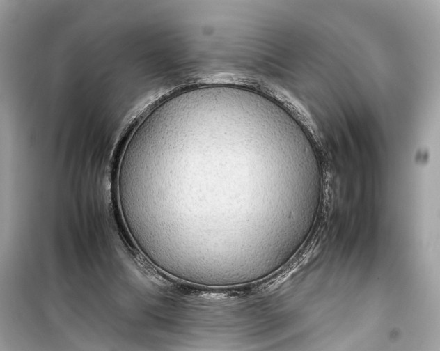 X0000099310298200805231409