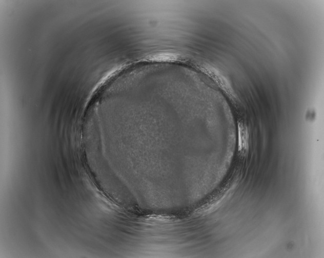 X0000099310300200805231409