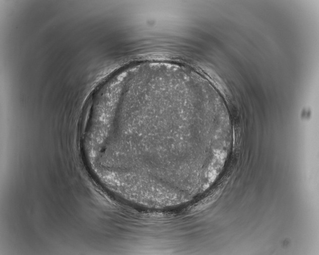 X0000099310301200805231409