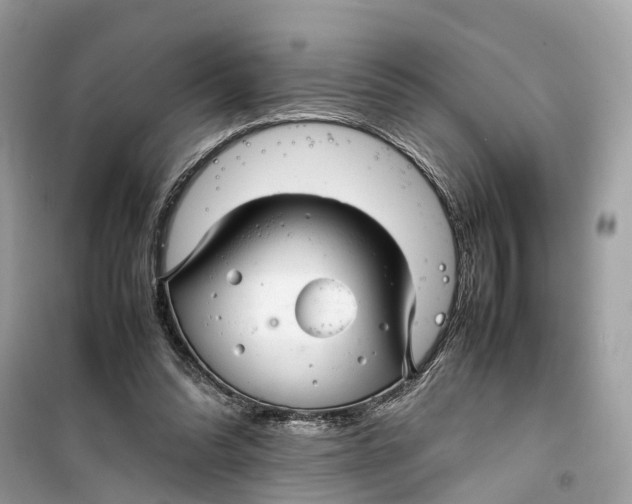 X0000099310302200805231409