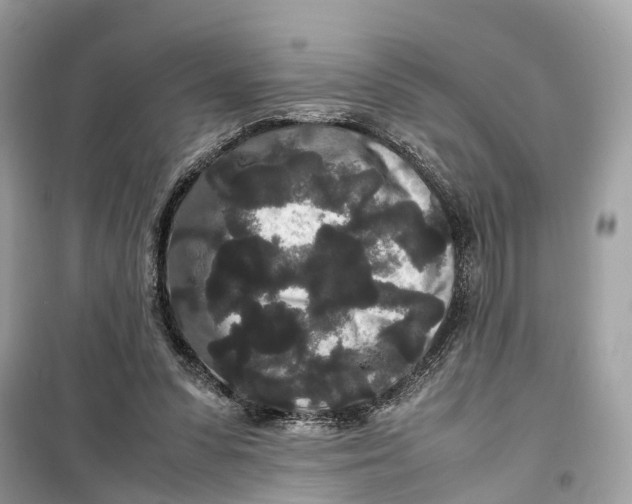 X0000099310303200805231409