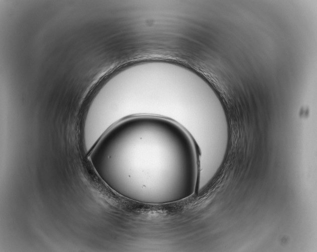 X0000099310304200805231409