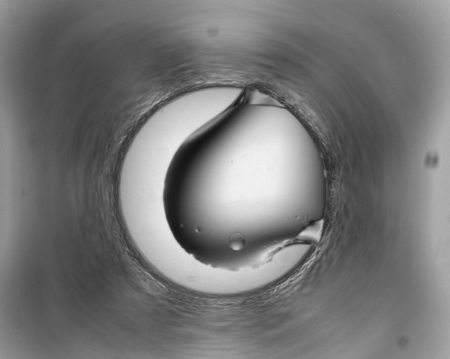 X0000099310305200805231409