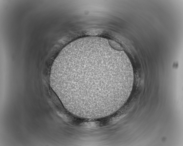 X0000099310307200805231409