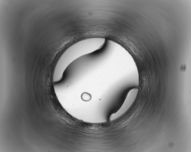 X0000099310308200805231409