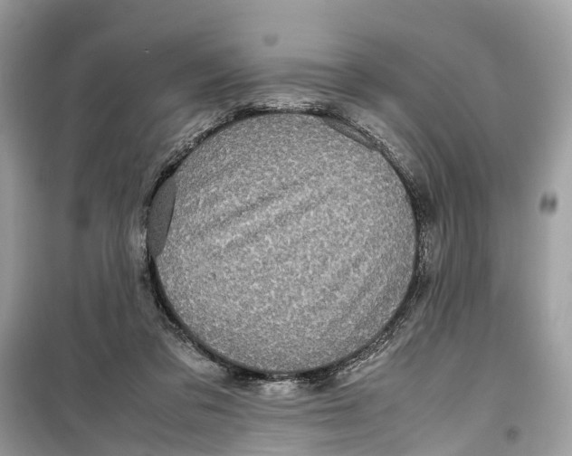 X0000099310309200805231409