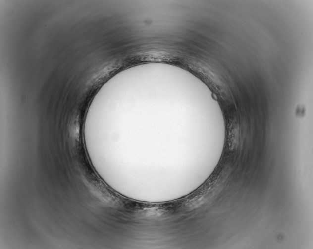 X0000099310310200805231409