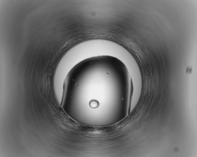 X0000099310312200805231409