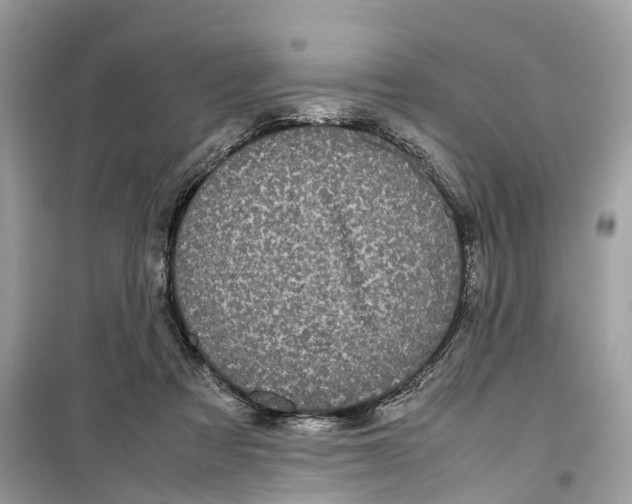 X0000099310313200805231409