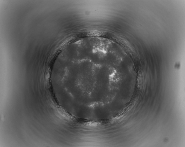 X0000099310314200805231409