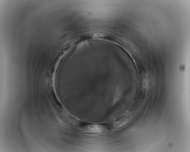 X0000099310316200805231409