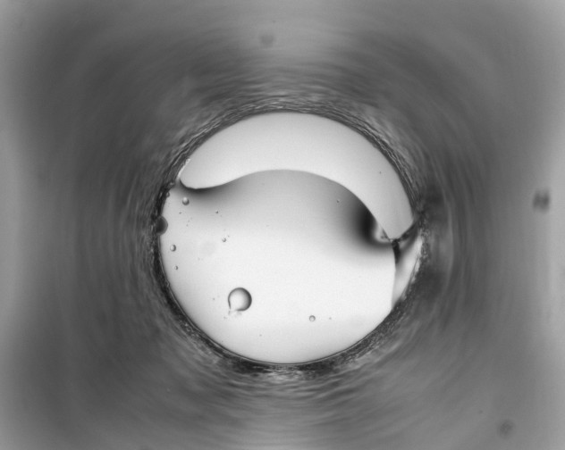 X0000099310317200805231409