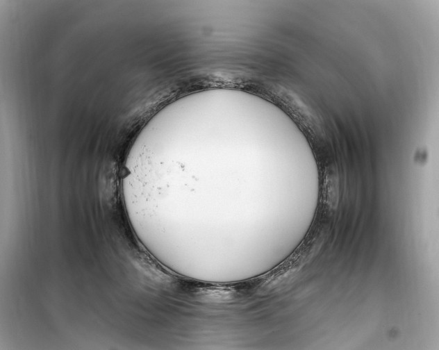 X0000099310318200805231409