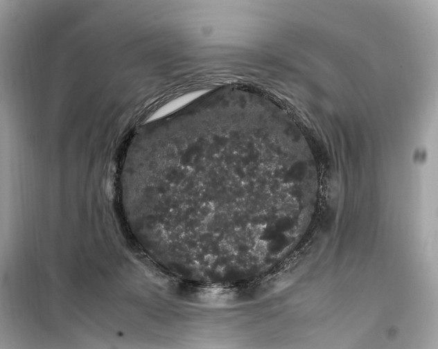 X0000099310319200805231409