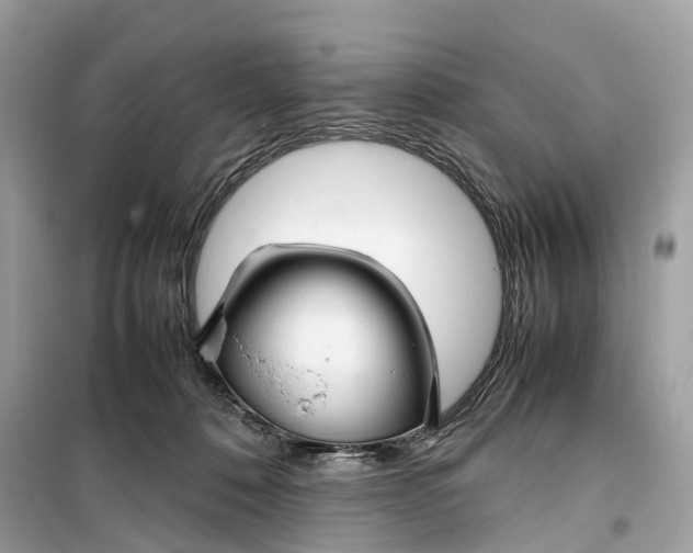 X0000099310320200805231409