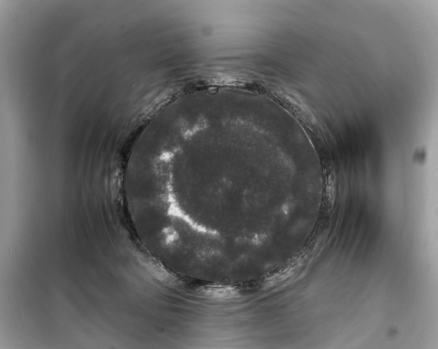 X0000099310322200805231409