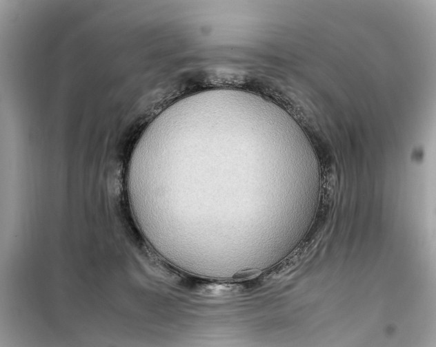 X0000099310323200805231409