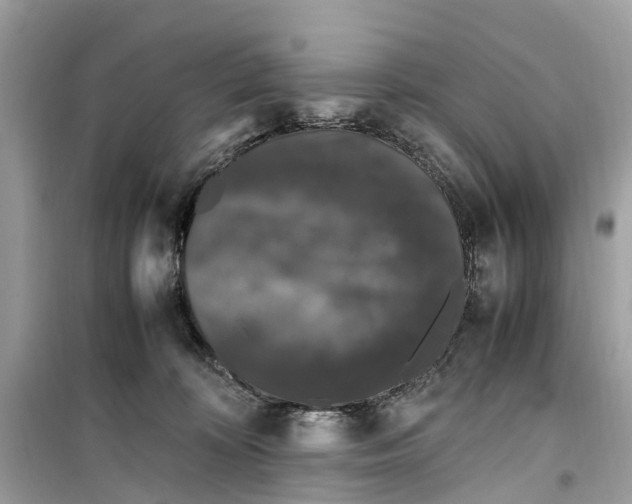 X0000099310324200805231409