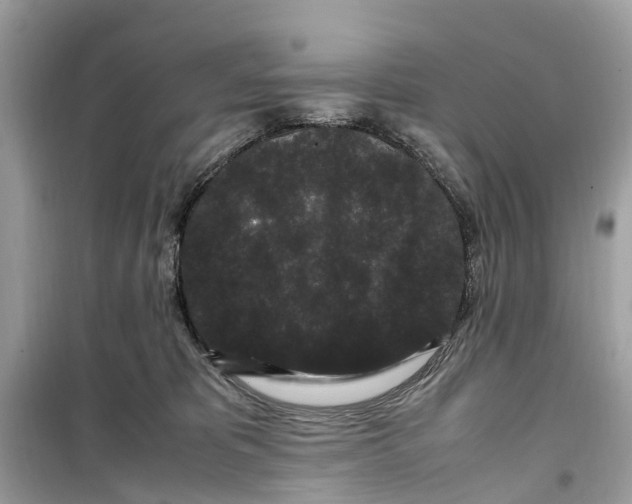 X0000099310325200805231409