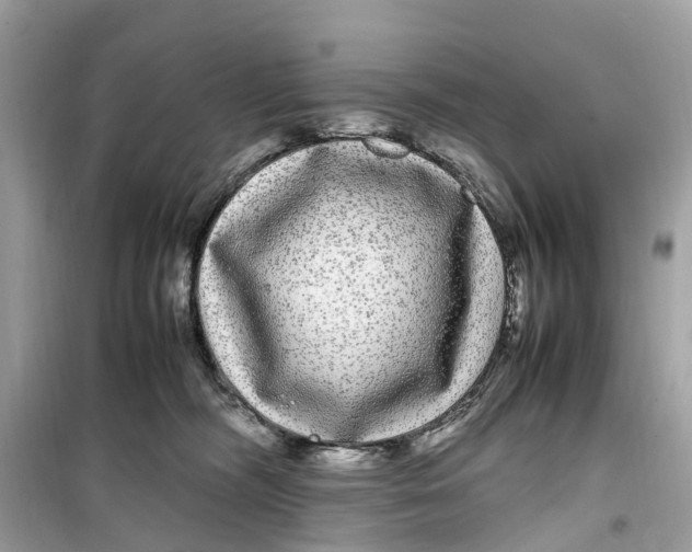 X0000099310326200805231409