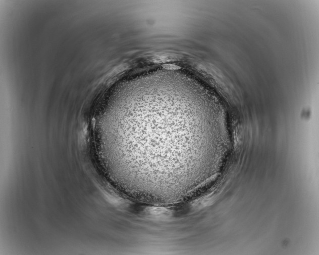 X0000099310327200805231409