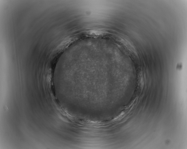 X0000099310328200805231409