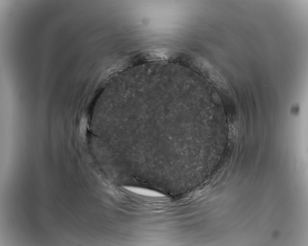 X0000099310331200805231409