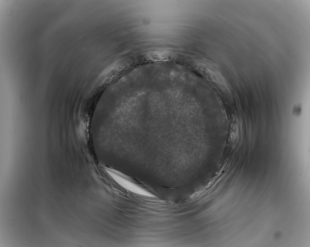 X0000099310332200805231409