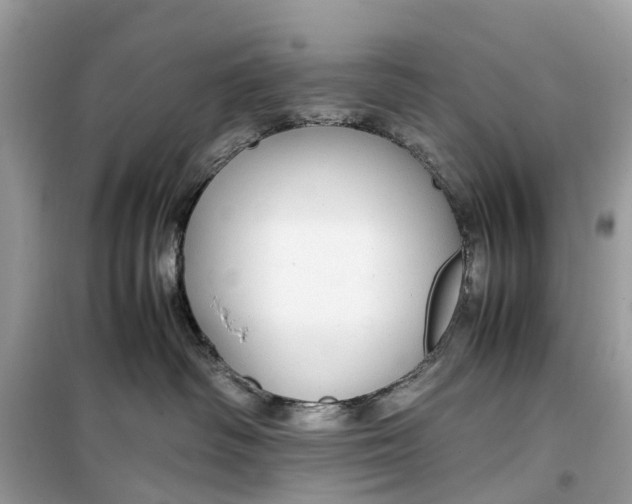 X0000099310334200805231408