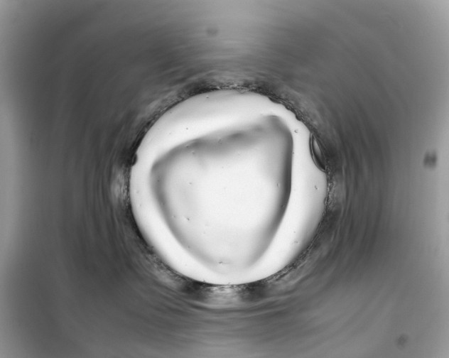 X0000099310335200805231408