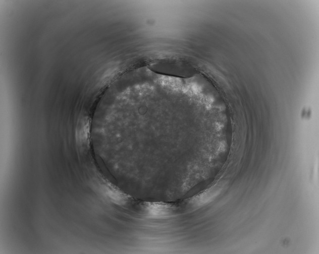 X0000099310336200805231408