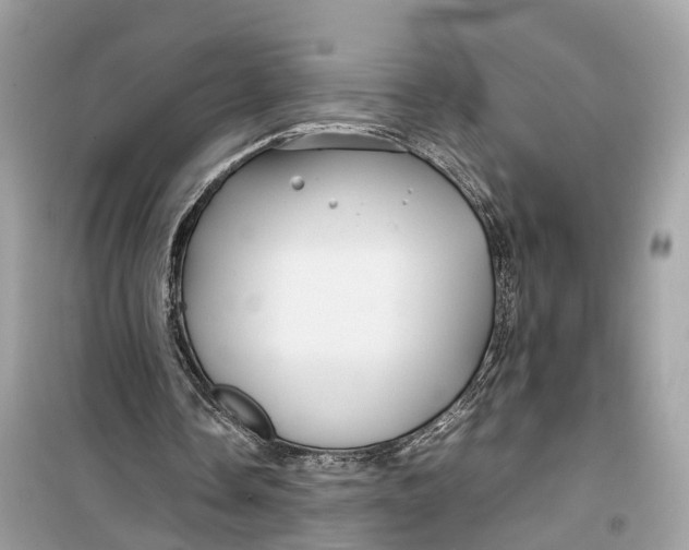 X0000099310338200805231408