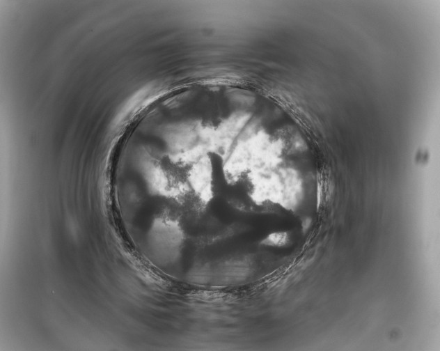 X0000099310339200805231408