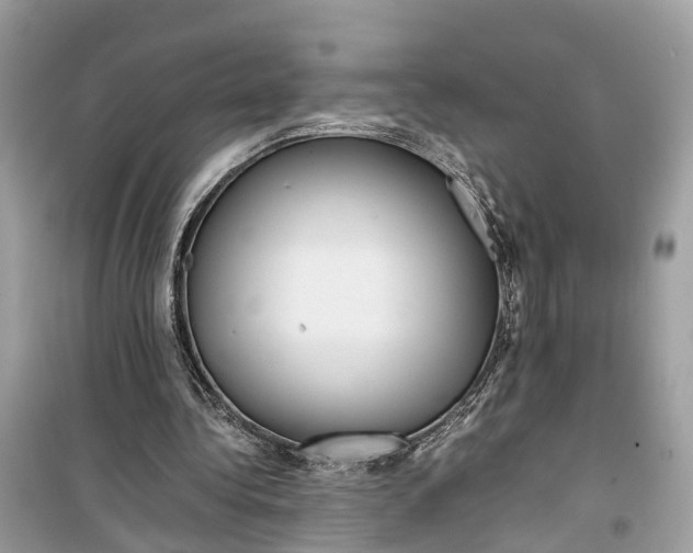 X0000099310340200805231408