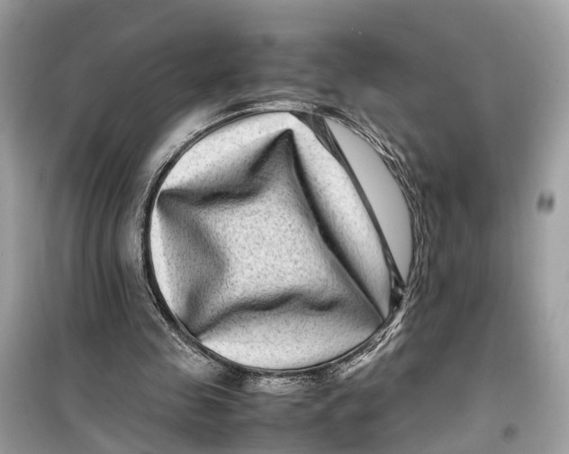 X0000099310341200805231408