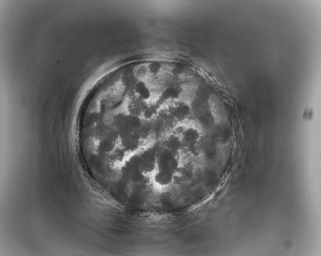 X0000099310343200805231408