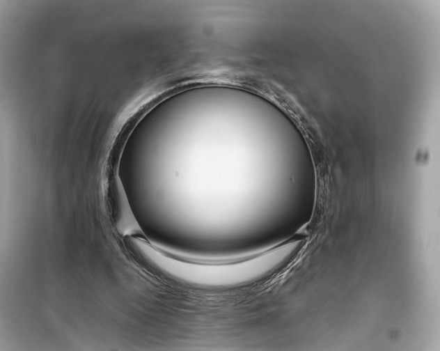 X0000099310344200805231408