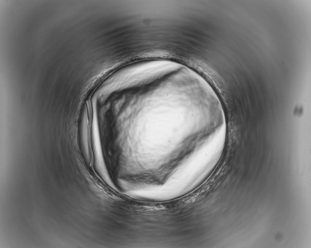 X0000099310345200805231408