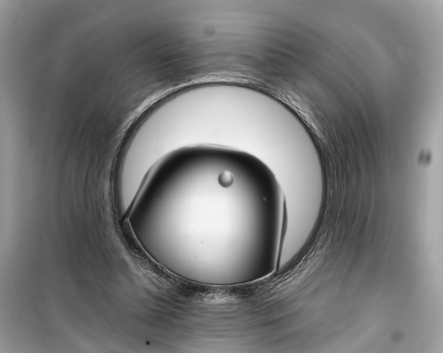 X0000099310348200805231408