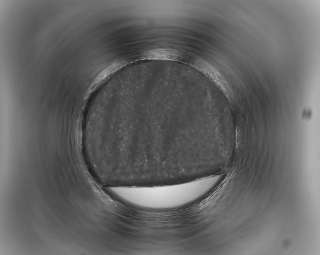 X0000099310349200805231408