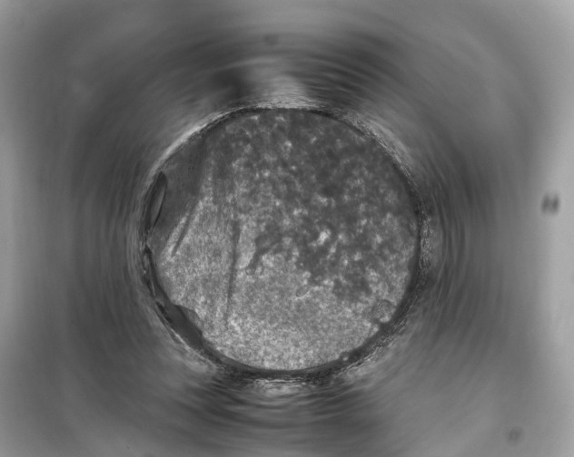 X0000099310351200805231408