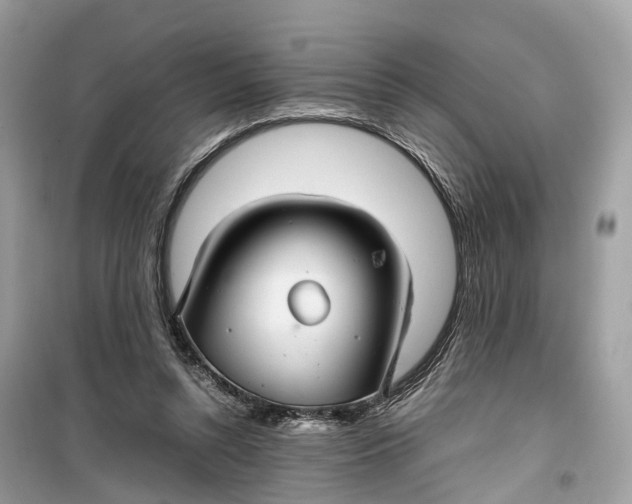 X0000099310352200805231408