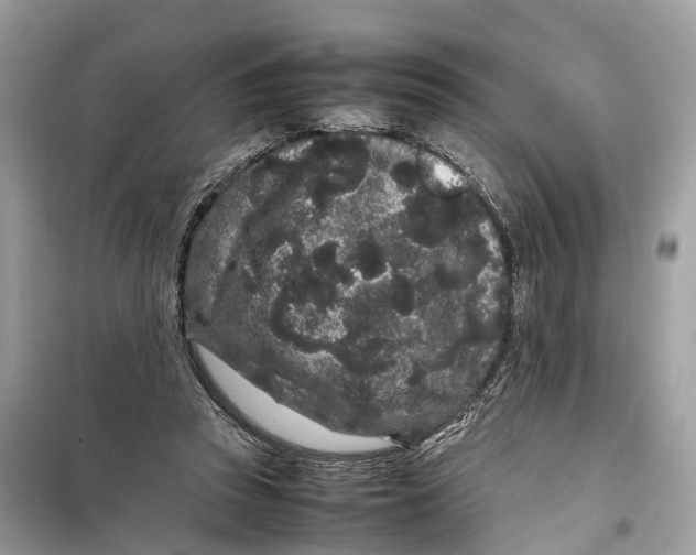 X0000099310353200805231408