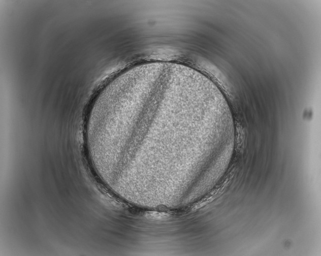 X0000099310354200805231408