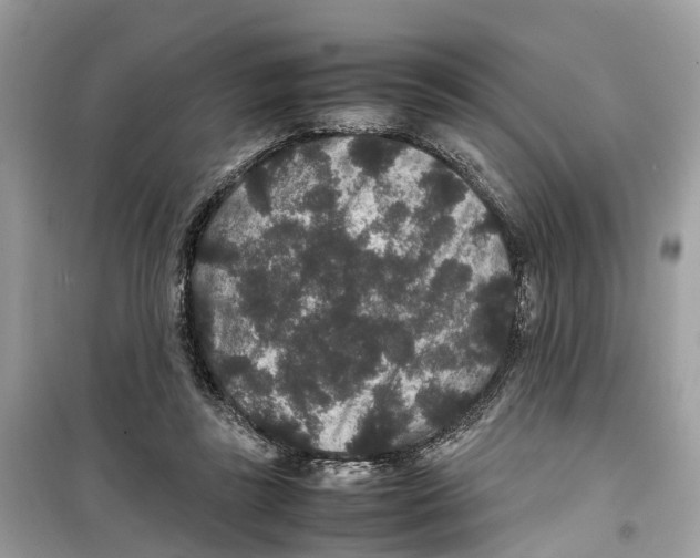 X0000099310355200805231408