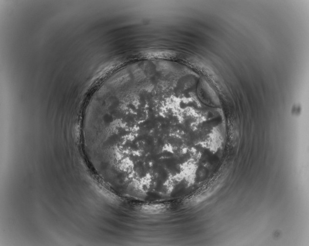 X0000099310357200805231408