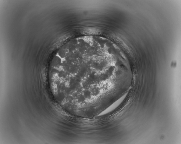 X0000099310359200805231408