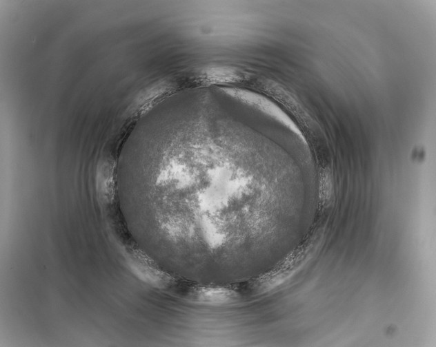 X0000099310360200805231408