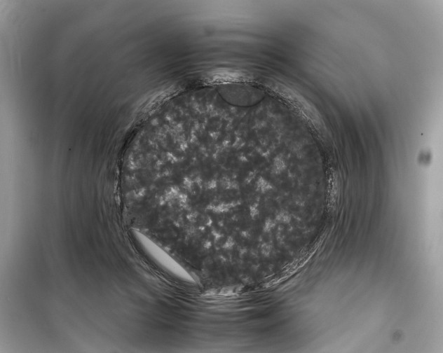 X0000099310361200805231408