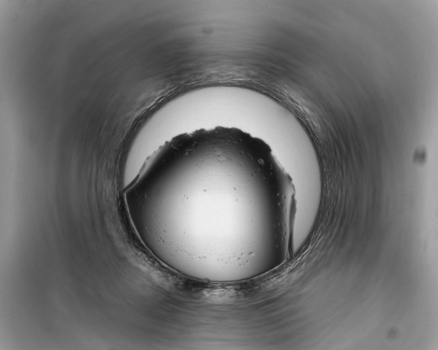 X0000099310362200805231408